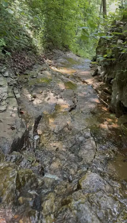 Picture 4