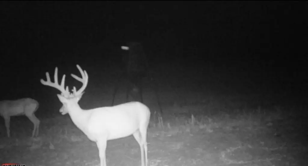 Picture 60