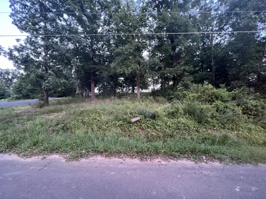 Picture 4