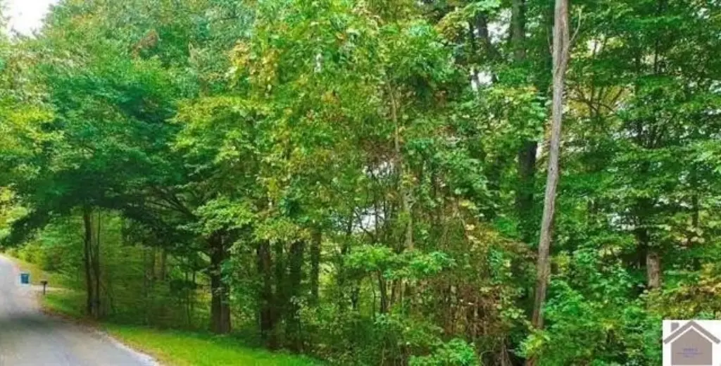 Picture 8