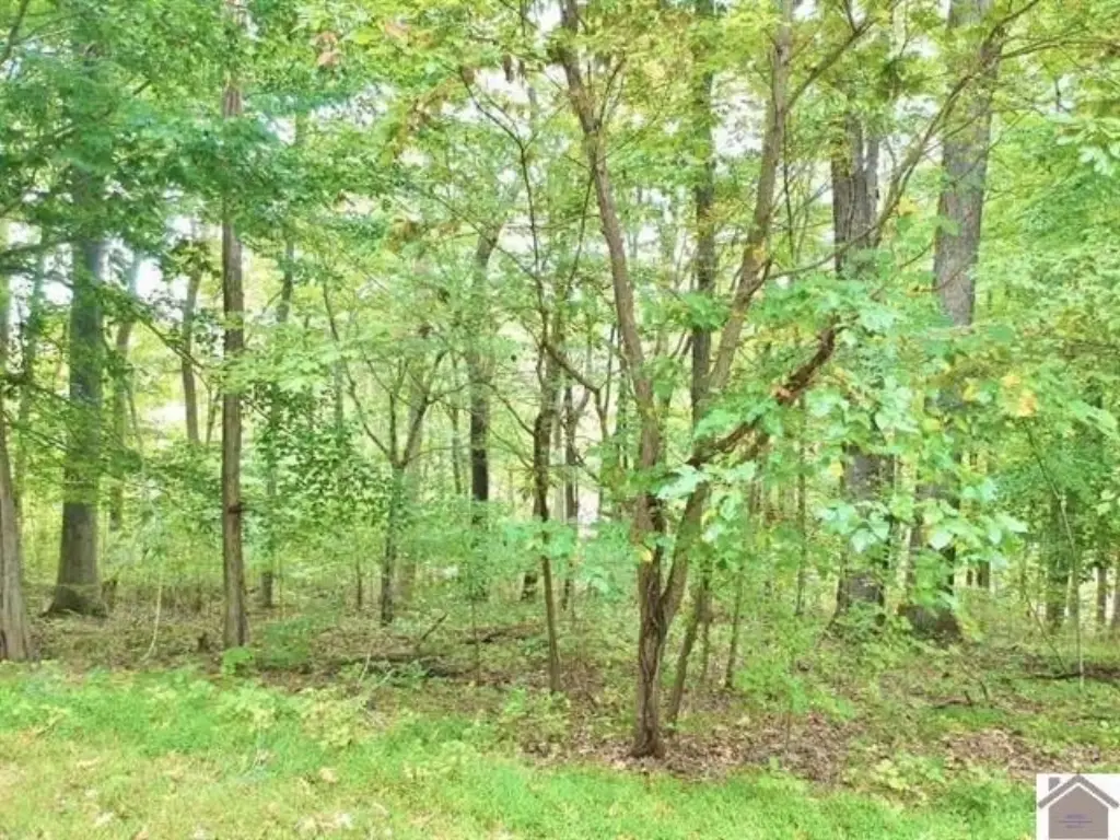 Picture 10