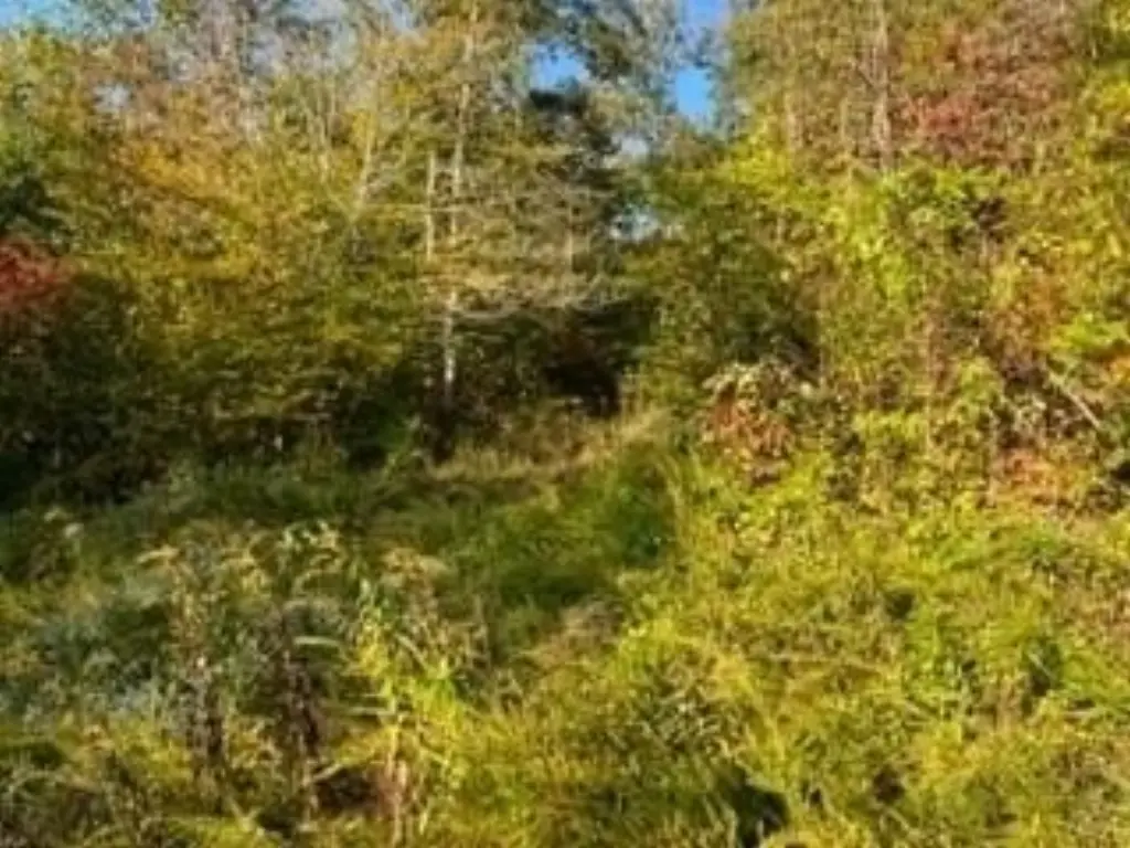 Picture 4