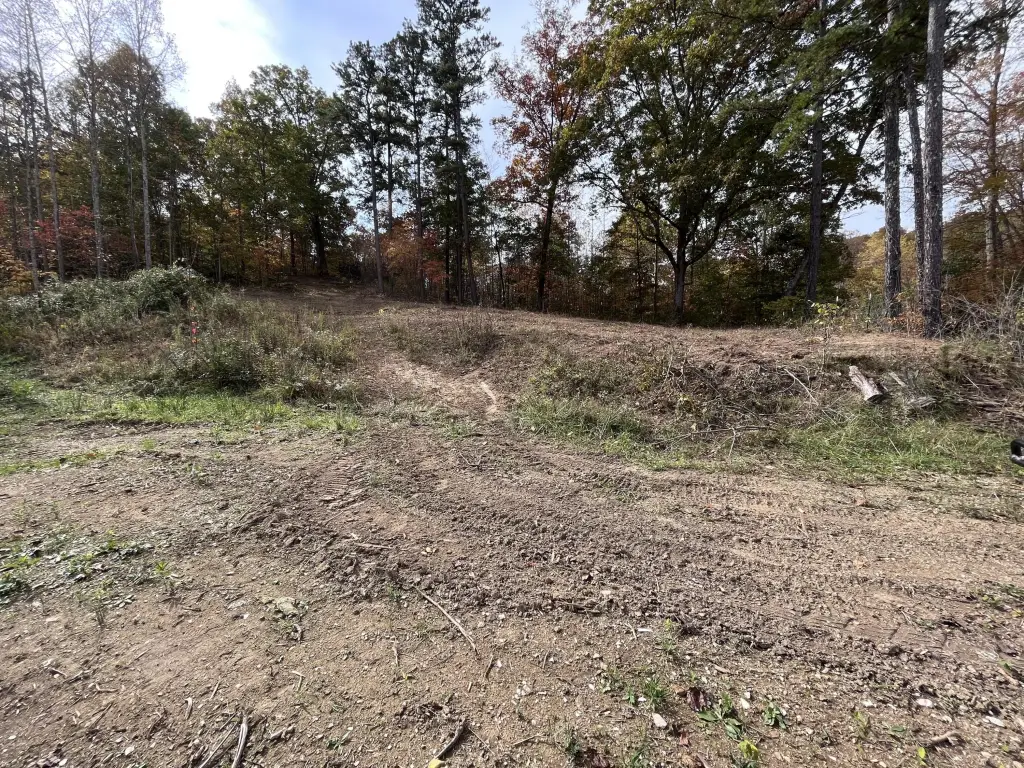 Picture 4