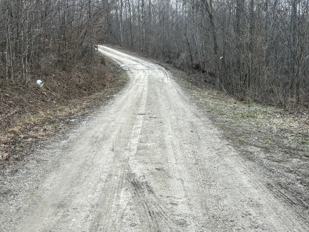 Picture 5