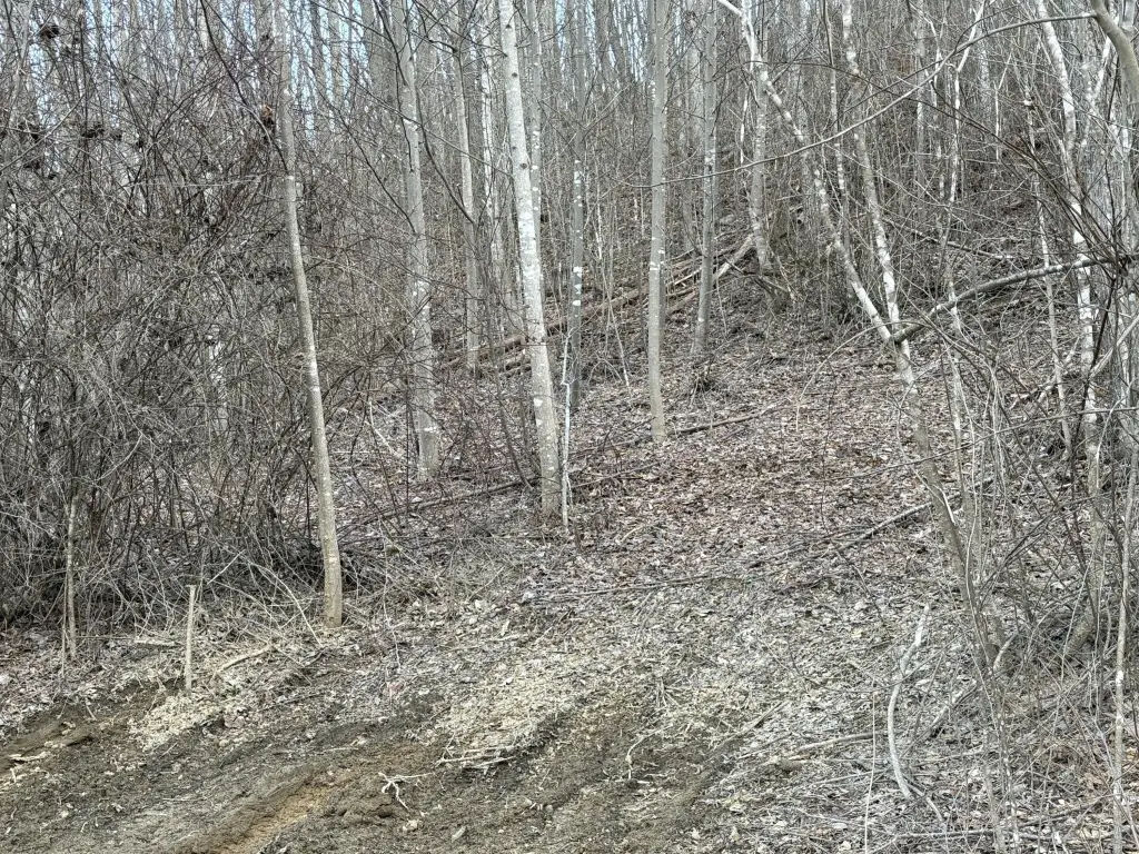 Picture 2