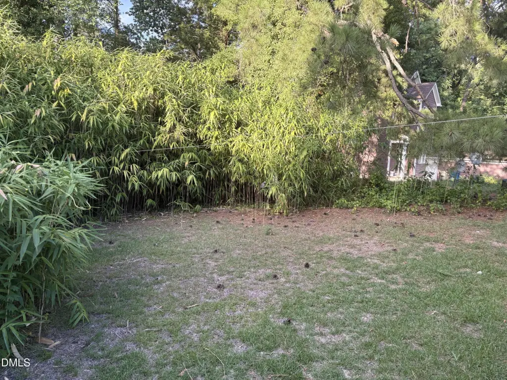Picture 20