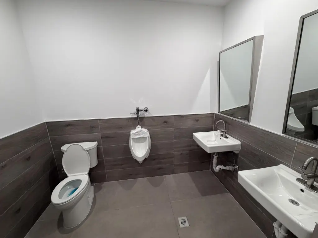 Picture 6