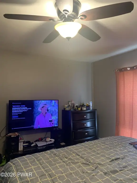 Picture 41