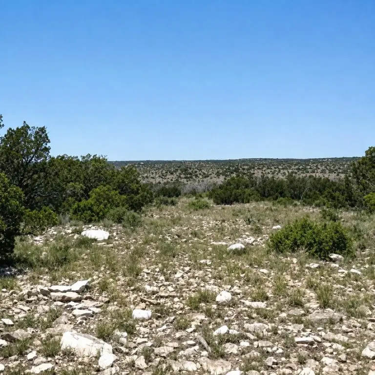 Picture 12