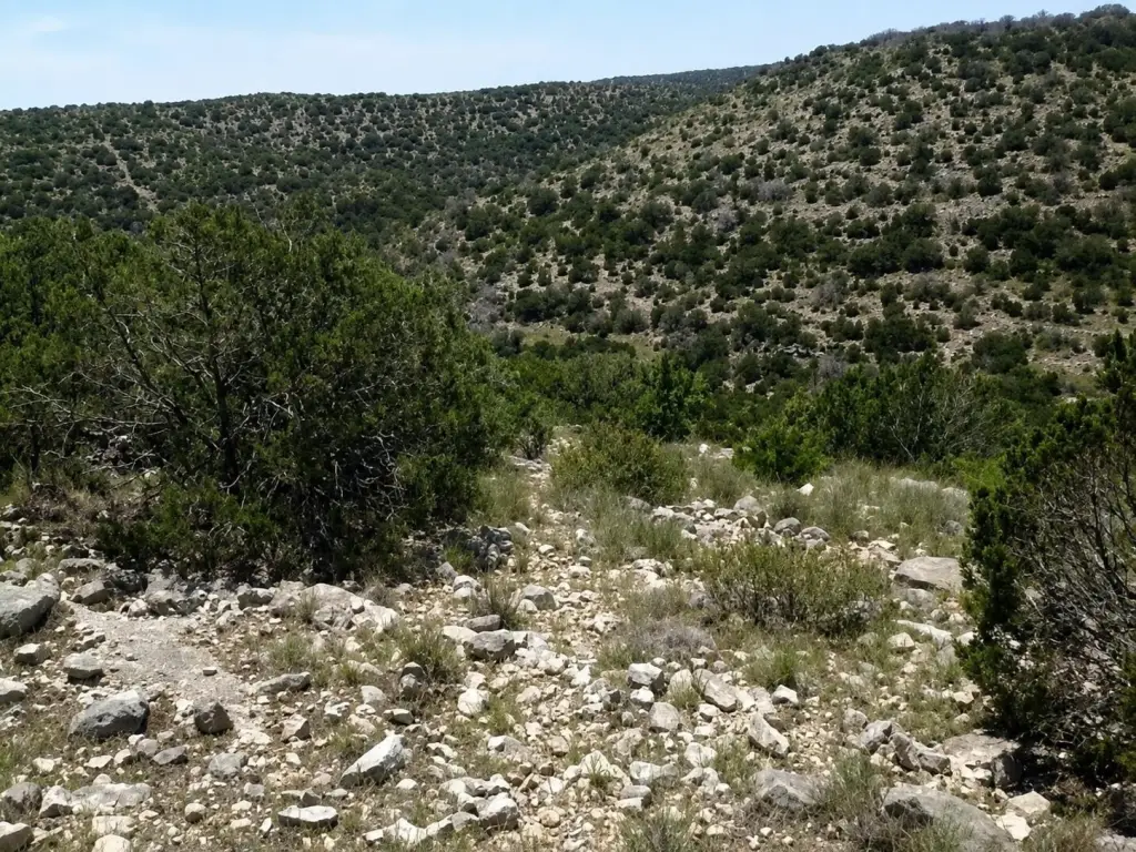Picture 8