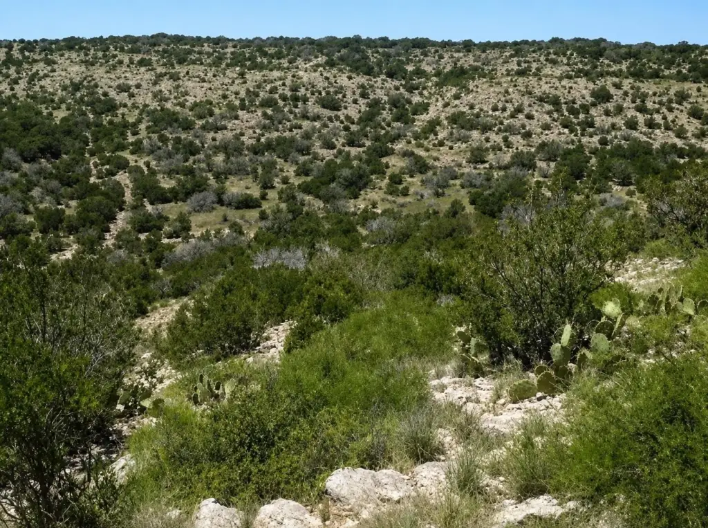 Picture 13