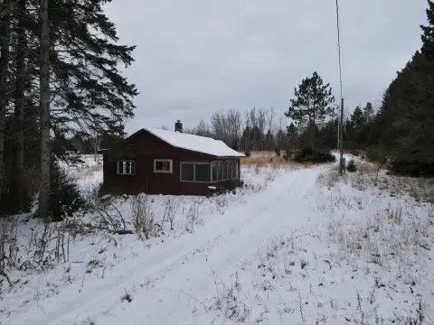 Montmorency County Hunting Land