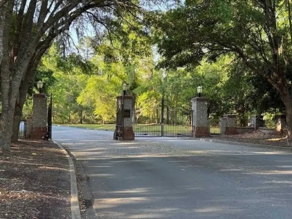 Picture 15