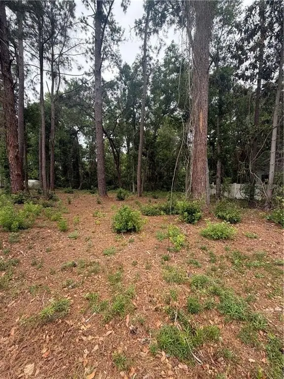 Picture 3