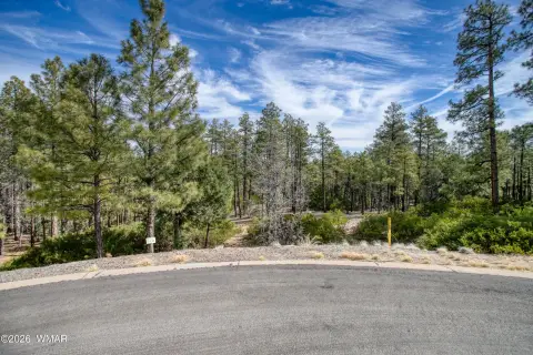 Sierra Pines Homesite in Show