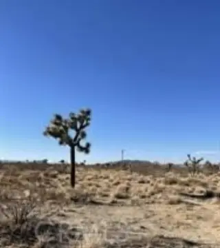 Land in Homestead Valley