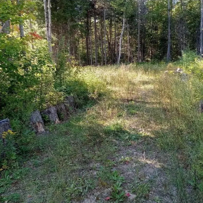 Picture 14