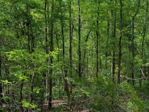 Sprott, AL Vacant Timber Tract