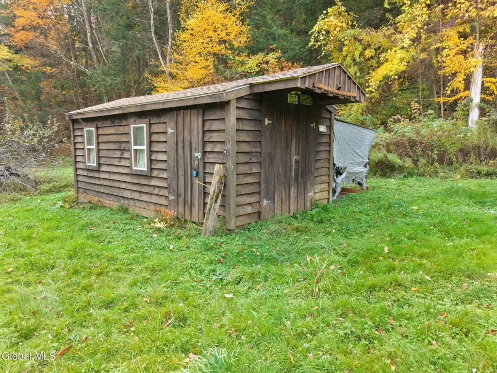 Picture 8