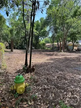 Savannah Land Development Opportunity