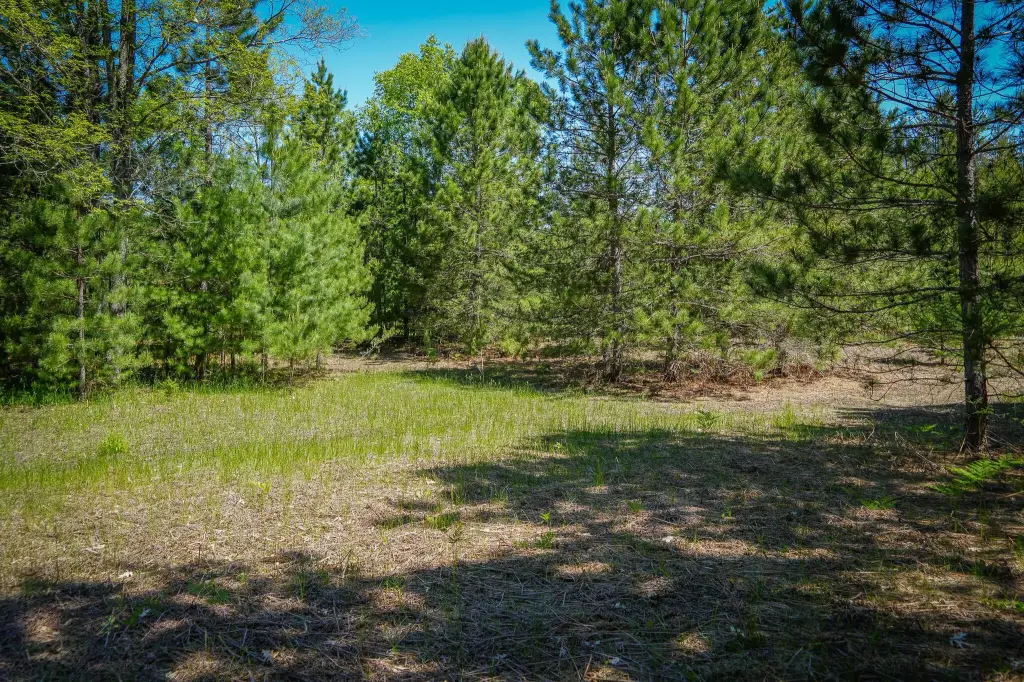 Picture 25