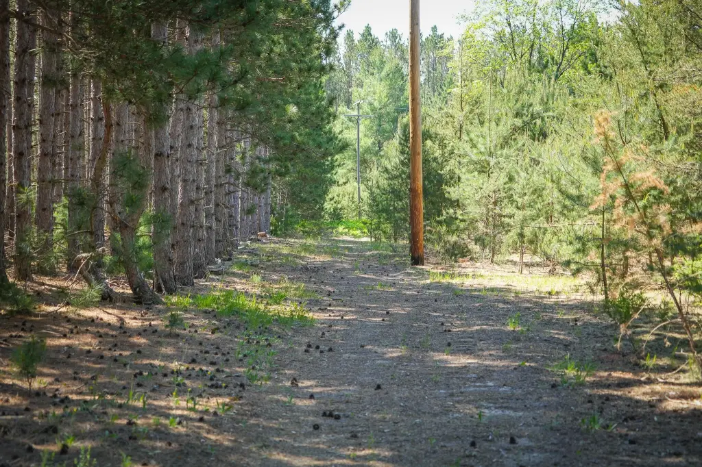 Picture 22