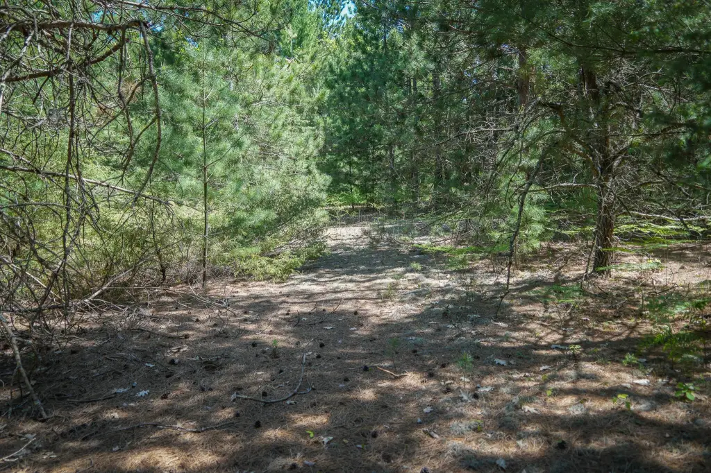 Picture 25