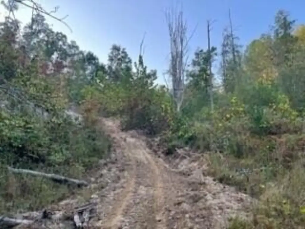 Picture 5