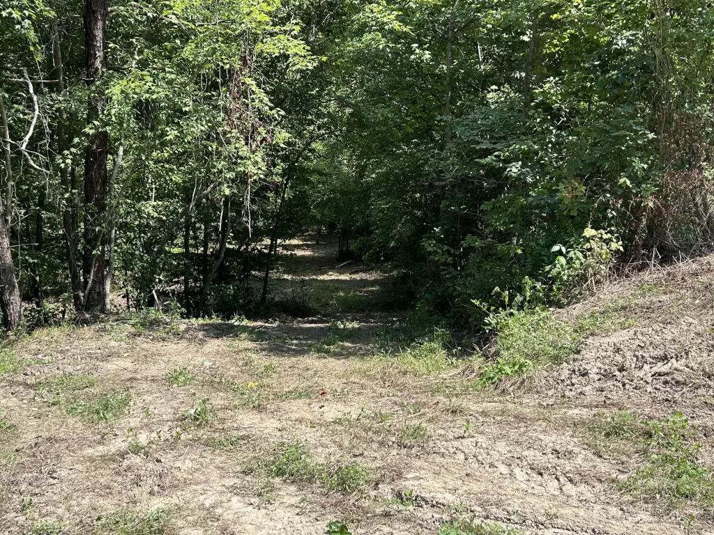 Picture 3