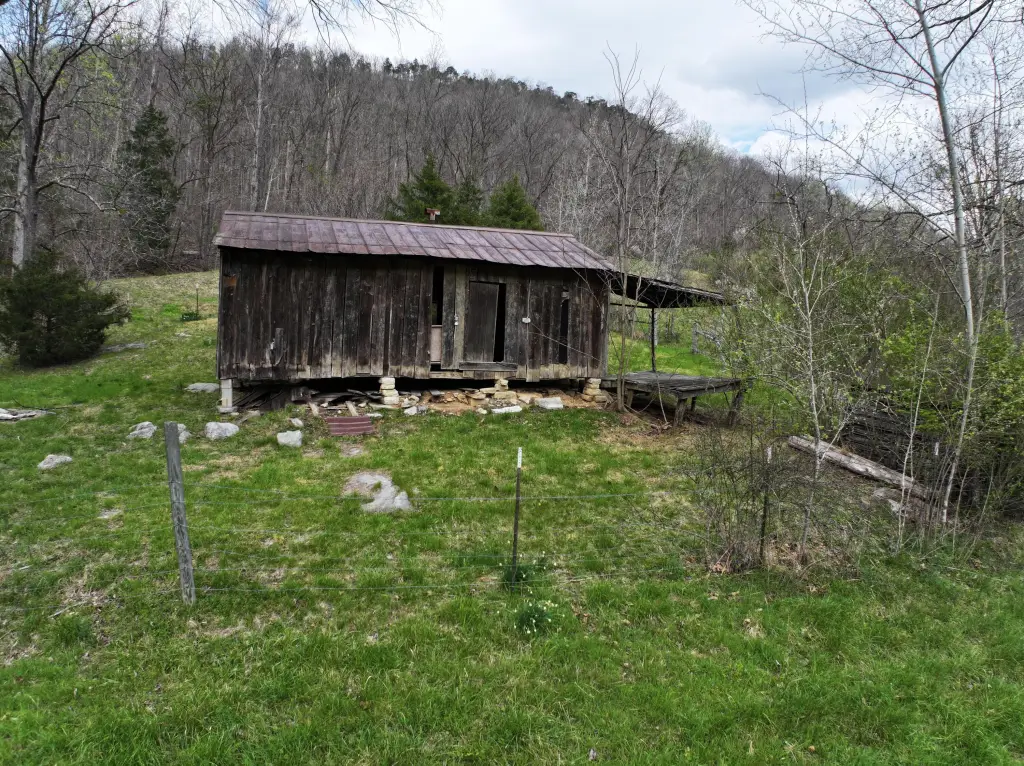 Picture 14