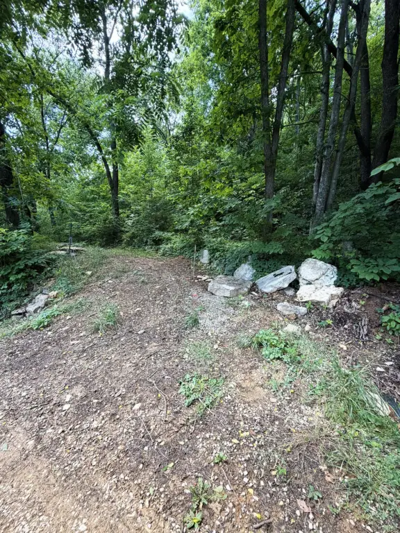 Picture 20