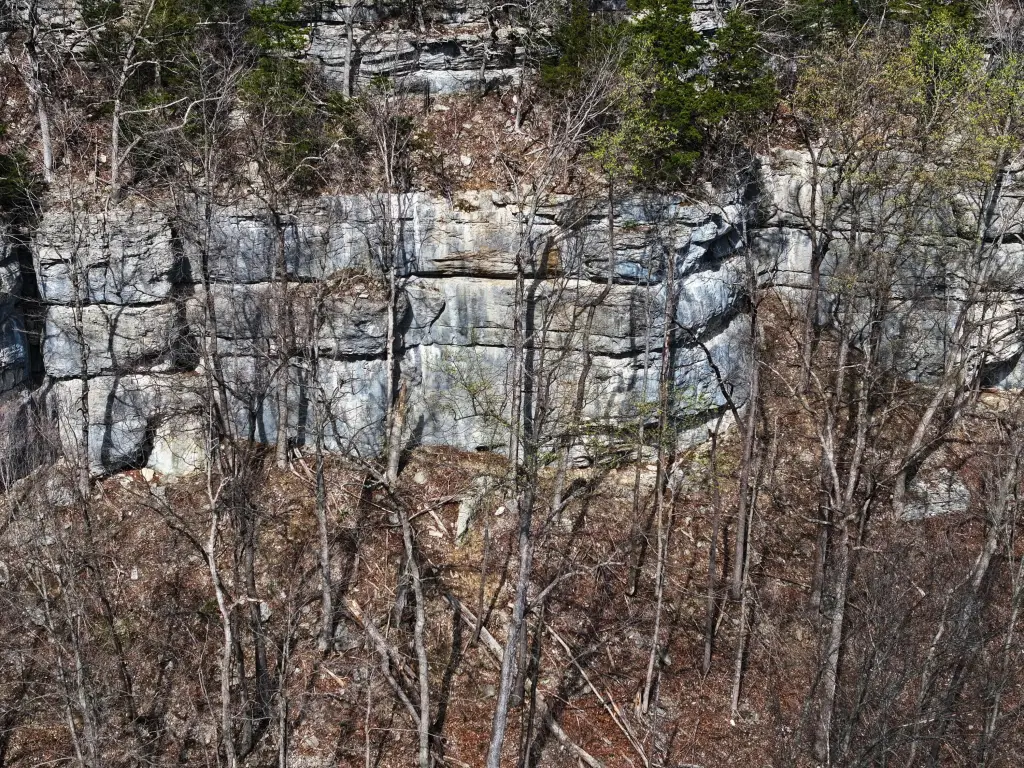 Picture 8