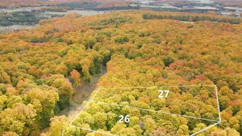 Harbor Springs Hardwood Forest Land