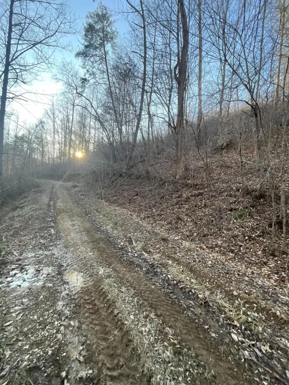 Picture 15