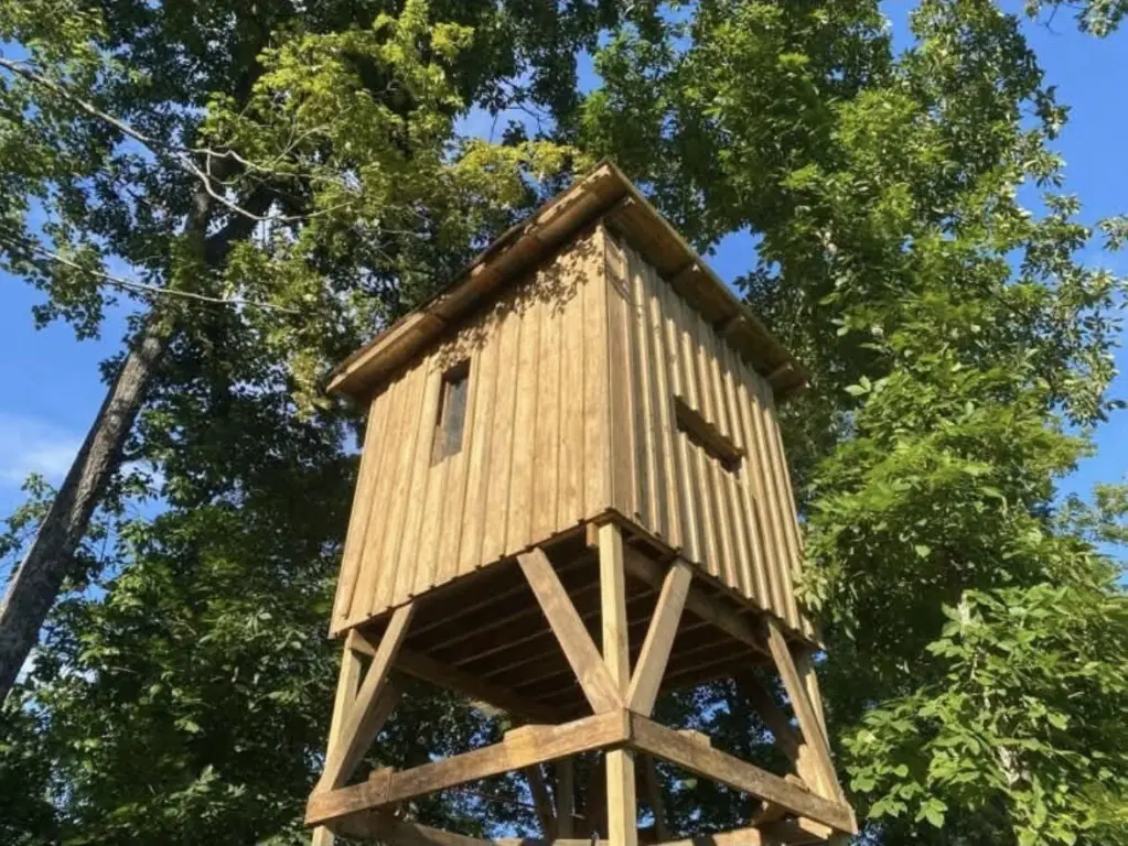 Picture 17