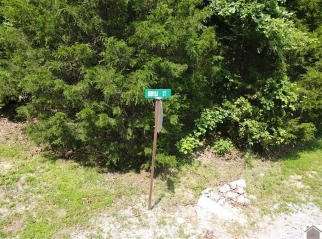 Picture 18