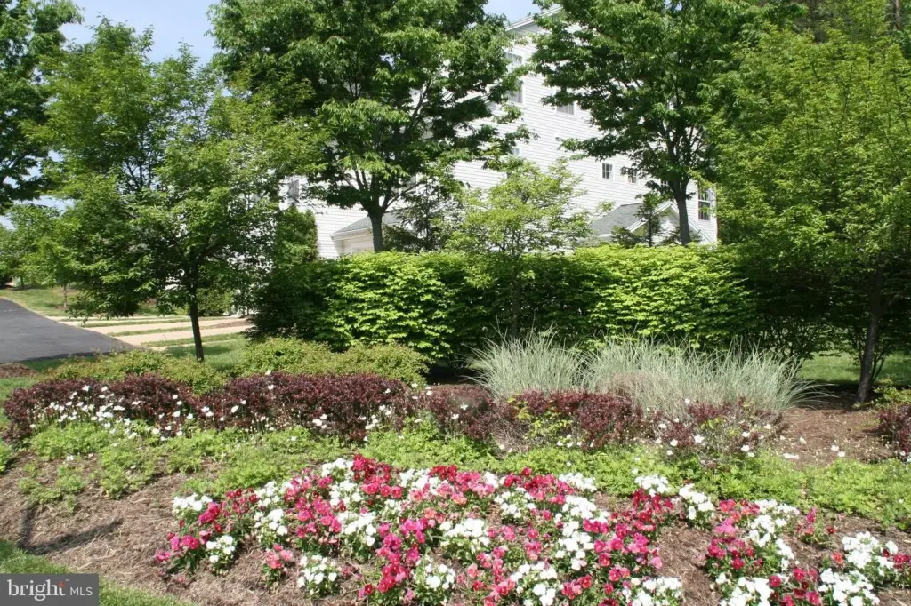 Picture 33