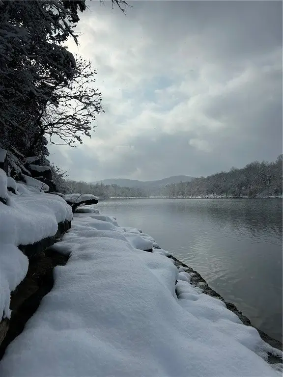 Picture 7