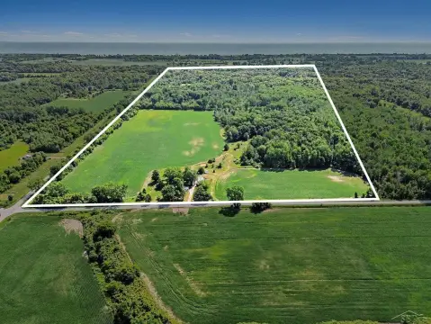 Agricultural Land with Wooded Acreage