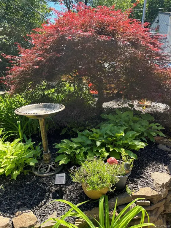 Picture 31