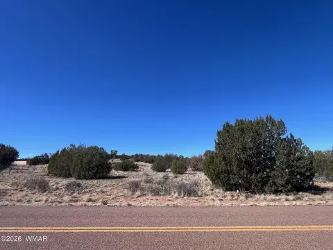 Land Parcel in Snowflake, AZ