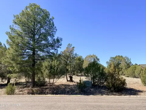 Ready-to-Build Lot in Heber, AZ