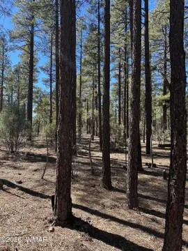 Lakeside Acreage Property For Sale