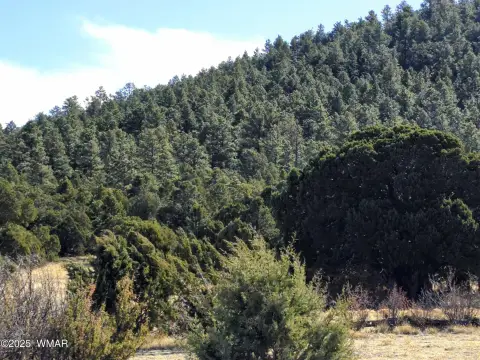 Land in Red Cabin Ranch