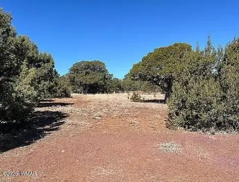 Land in Concho, Arizona