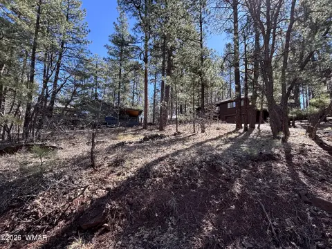 Pinetop Corner Lot with Views