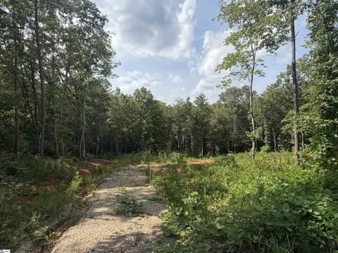 Landrum, SC Residential Land