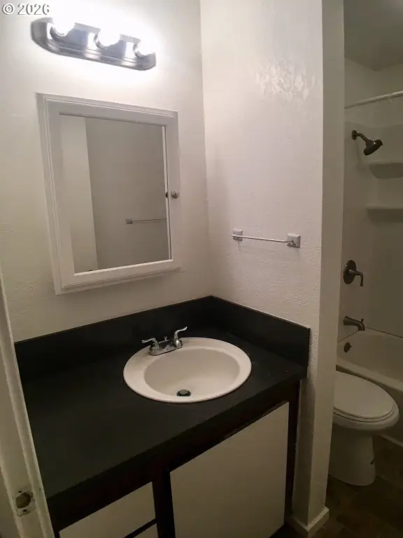 Picture 13