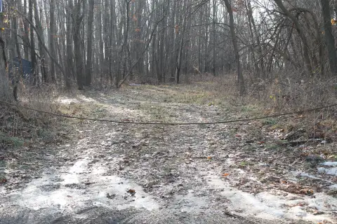 30 Acres Buildable Hunting Land