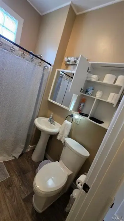 Picture 19
